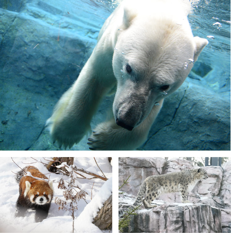 札幌市円山動物園